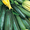 Кабачок Изумруд