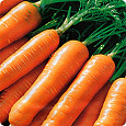Морковь  Миникор