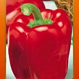 Перец Сладкий Фламенко F1