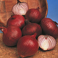 Лук Репчатый Red Karmen Лук Репчатый Red Karmen