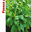 Салат  Рукола